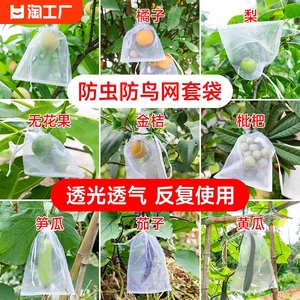 水果套袋防鸟网纱袋防虫袋果树无花果葡萄桃子草莓保护袋果蝇种植