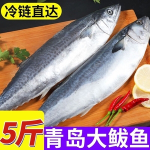 【GC】大鲅鱼新鲜活鲐鲅鱼马鲛鱼大整条冷冻青花鱼海鲜水产马交鱼