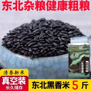 东北新米农家专用黑米粥五谷杂粮紫米黑龙江香米糙米真空陈米清香