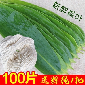 粽叶新鲜粽子叶大号包粽子专用大宽叶粽子叶子真空包粽子的叶子