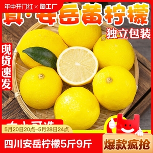 四川安岳黄柠檬5斤9斤新鲜当季水果一级包邮精选皮薄香水鲜柠檬