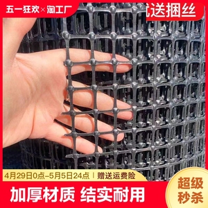 黑色胶网塑料网格养殖网土工格栅网养鸡围栏护栏网防护网围墙阳台