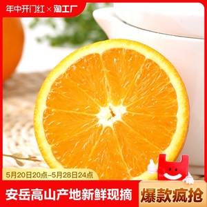 橙心 橙意 安岳特产脐橙高山春见果冻橙产地新鲜现摘橙子