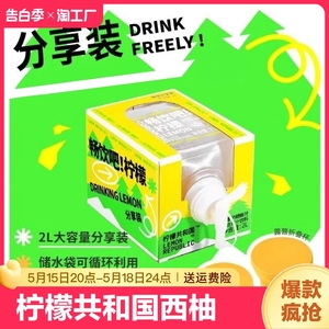 柠檬共和国香柠橙柚汁水果汁饮料解腻维C饮品露营分享装2L整箱