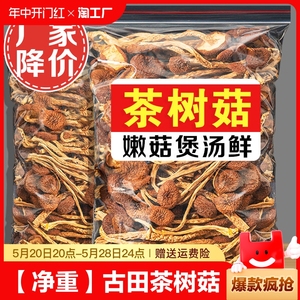 认准净重茶树菇干货特级500g古田新鲜干菇类批发炖汤煲汤香菇