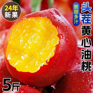 黄肉桃子新鲜黄心油桃5斤桃应当季水果脆甜蜜桃孕妇整箱包邮精品