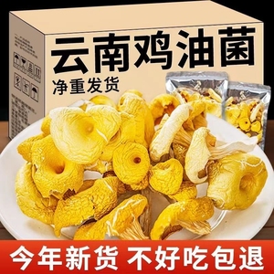 鸡油菌干货云南特产蘑菇新鲜干黄丝菌菌菇黄金菇榆黄菇煲汤料500g