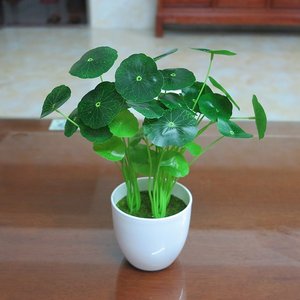 发财树摆设仿真植物树叶招财盆栽草坪拍照小盆景叶子室内外餐桌假