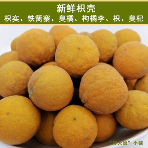 新鲜枳壳 铁篱寨臭橘 枸橘李 枳实 枳臭杞农村正宗中药材