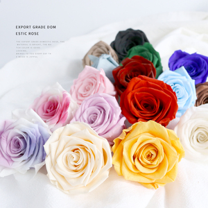 国产A级玫瑰出口级4-5厘米永生花diy装饰花盒搭配多色保鲜花干花