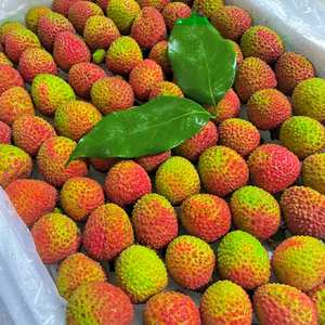 【顺丰速达】5斤火山妃子笑荔枝新鲜水果老树果王海南非无核包邮3