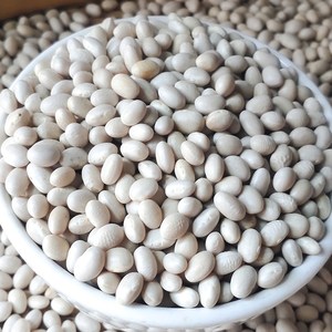 珍珠小白豆农家自种白洋豆小白芸豆白豆炖菜煲汤豆类杂粮 2斤包邮