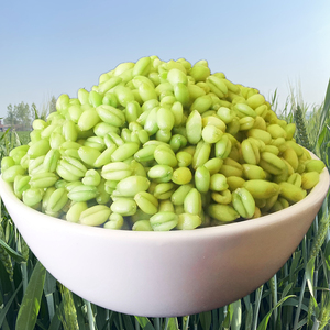 青麦仁河南省2020年新鲜农家无添加绿嫩小麦碾转麦子粒米4斤包邮