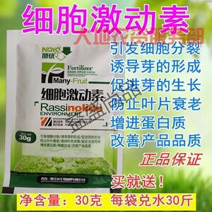 催芽素爆芽素促进花芽分化多肉植物细胞分裂素激动素果树茶叶催芽