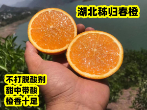 新鲜现摘不打脱酸剂甜蜜素酸甜口感湖北秭归春橙