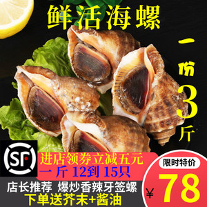 新鲜大海螺鲜活小海螺野生香辣牙签螺海鲜水产鲜活贝类包邮3斤