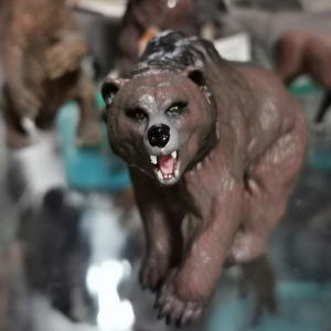 学生摆件法国papo正品洞熊静态动物模型玩具公仔ce认证葡萄牙生产