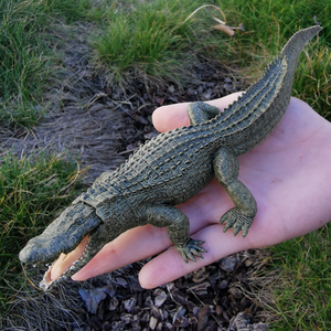 鳄鱼玩具法国papo正品仿真野生动物模型短吻鳄摆件道具男孩礼物