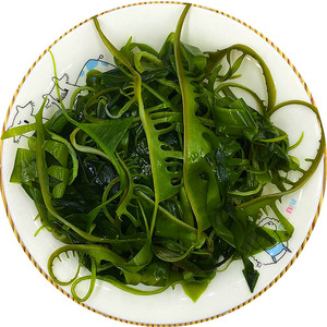 特级裙带菜芽海芽菜火锅海带苗媚芽菜睫毛菜海白菜 整箱30斤包邮