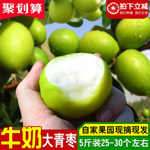 台湾牛奶大青枣子脆新鲜特大牛奶青枣水果包邮5斤贵妃密冬枣当季