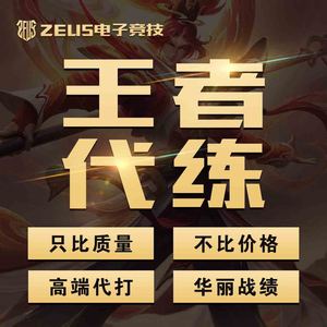 王者荣耀代练送排位上星带打英雄上分快速号代打星耀王者钻石段位