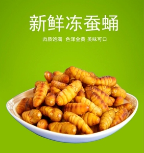 蚕蛹新鲜鲜活速冻