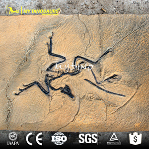 000人付款淘宝玻璃钢仿真始祖鸟骨架化石板 超写实恐龙骨骼逼真模型