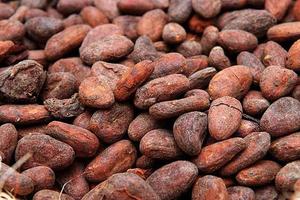 进口天然生可可豆100克 整粒豆原豆无糖cocoa豆