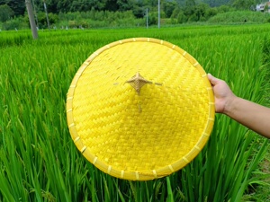 手工竹编遮阳遮雨尖顶渔翁斗笠帽农用演出道具竹草帽防晒民间传统