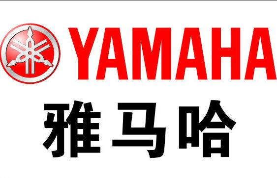 雅马哈摩托车 原厂正品配件 踏板丽鹰100凌鹰100空气滤芯