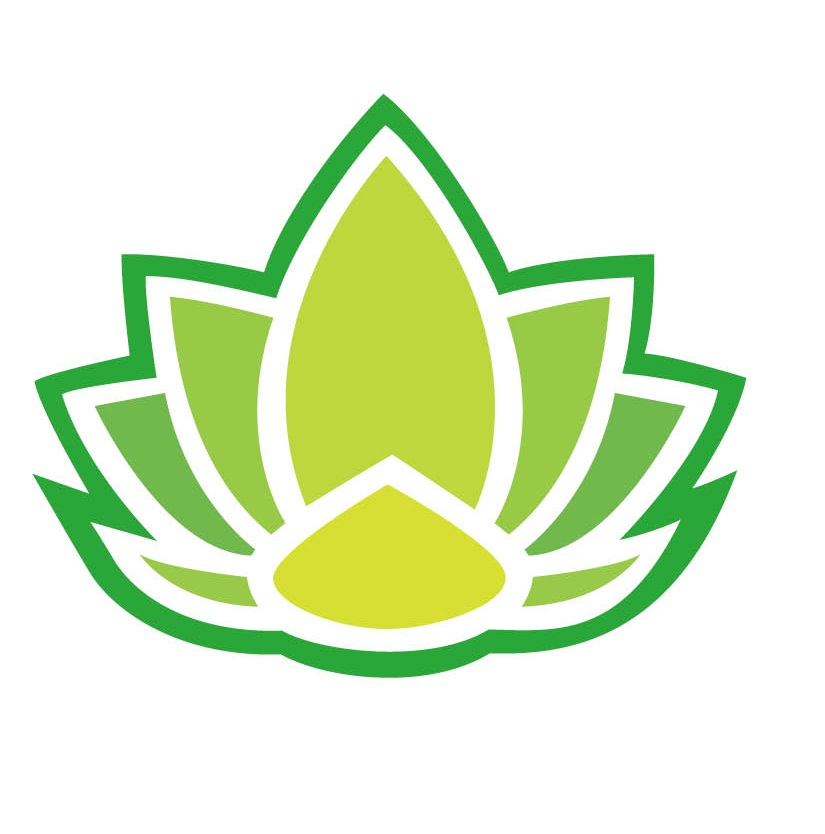 多肉植物 碰碰香 盆栽绿植花卉盆花组合多肉盆景何氏多肉