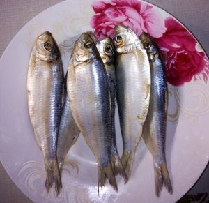 青鳞鱼 莱州湾特产 掖县名吃 小青鱼 500克 小咸鱼 烟台水产干货