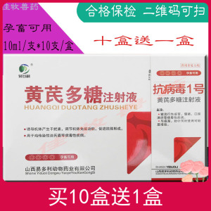 马牛羊猪犬抗病毒1号黄芪多糖注射液 抗病毒头孢稀释液增加抵抗力