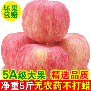 正常发货新鲜苹果10烟台苹果红富士脆甜无蜡9-12粒5斤大果