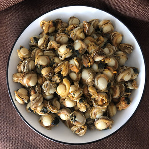 熟冻螺肉