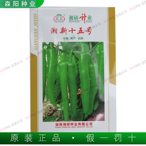 湘研种业湘新十五号辣椒种子 中熟高产抗病牛角椒微辣辣椒种籽