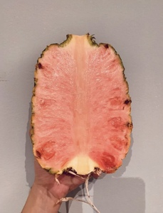 001人付款淘宝哥斯达黎加品种粉菠萝仙女凤梨稀缺粉色菠萝礼盒装1只