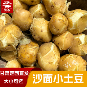 甘肃定西小土豆黄心小洋芋沙面新鲜2024农家自种蔬菜小马铃薯10斤