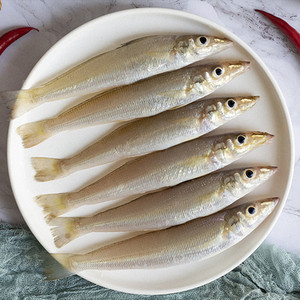 沙尖鱼深海野生沙锥鱼新鲜海鱼沙钻鱼沙箭鱼食用沙丁鱼冷冻水产