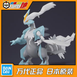 神奇宝贝焰白酋雷姆