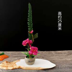 酒店摆盘装饰花草盘饰创意小摆件餐厅冷盘点缀花围边刺身菜品寿司