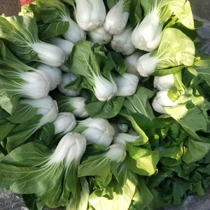 安徽无为特产农村蔬菜农家自种青菜霜降白菜一份4斤