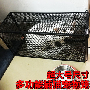 抓猫工具