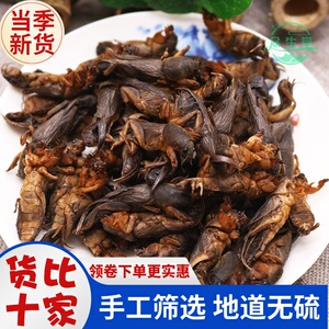 tb478328711淘宝100亿/克绿僵菌有机微生物杀虫剂蛴螬地老虎蝼蛄