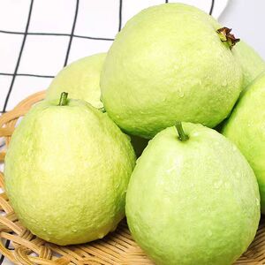 新鲜采摘农家果园广东汕头澄海番石榴白心芭乐清脆水果特产3斤