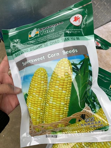 云南鲜吃甜玉米种子902玉米种子先正达双色先蜜玉米种子库普拉902