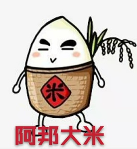 东北稻花香五常大米