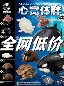 动物星球心宽体胖系列海洋盲盒海龟中国的奇珍异宝扬子鳄手办模型