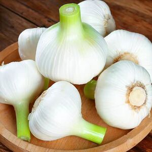 新鲜白皮大蒜头2022新嫩蒜绿头蒜农家湿蒜现挖青蒜头腌制糖腊八蒜
