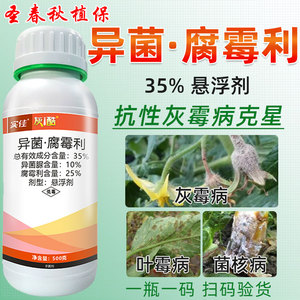 异菌脲腐霉利大樱桃葡萄番茄西甜瓜猕猴桃花腐病灰霉病农药杀菌剂
